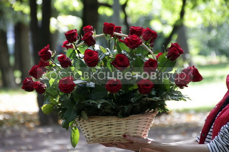 Корзина из 35 красных роз "Тонкий намек"